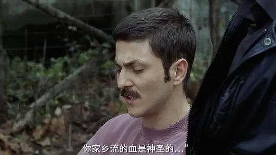 灿烂人生剧照