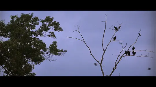 狙击职业杀手剧照