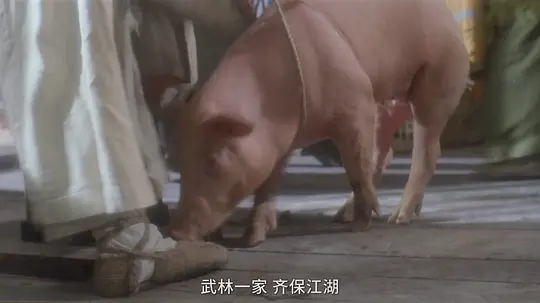 新仙鹤神针剧照
