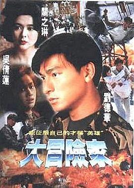 大冒险家(1995)海报