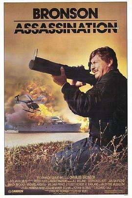 暗杀第一夫人(1987)海报
