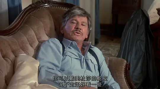 暗杀第一夫人剧照