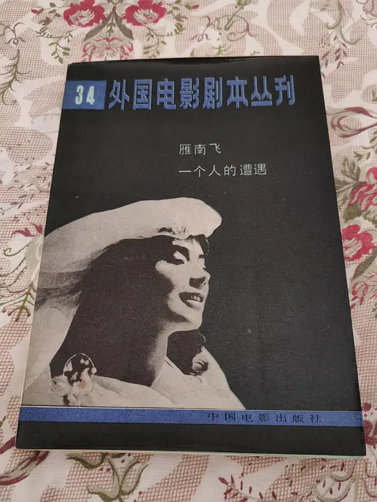 雁南飞剧照