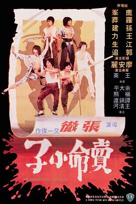 卖命小子(1979)海报