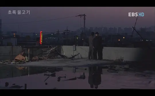 绿鱼剧照