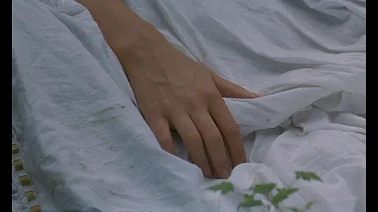 野兽剧照