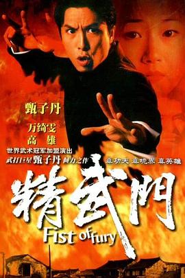 精武门(1995)海报