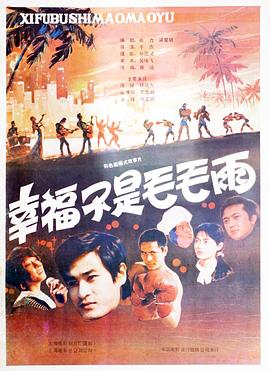 幸福不是毛毛雨(1987)海报