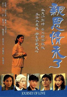 亲恩情未了(1995)海报