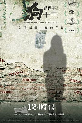 狗十三(2013)海报
