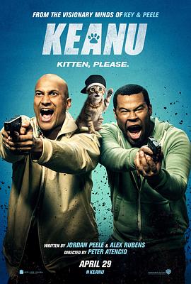 基努猫(2016)海报