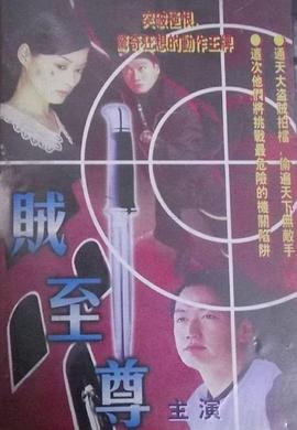 贼至尊(1998)海报