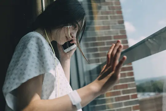 圣鹿之死剧照