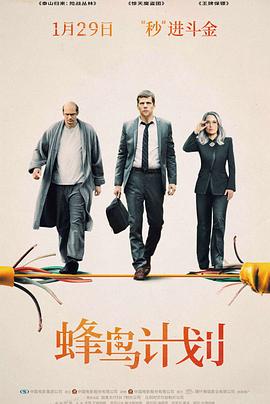 蜂鸟计划(2018)海报