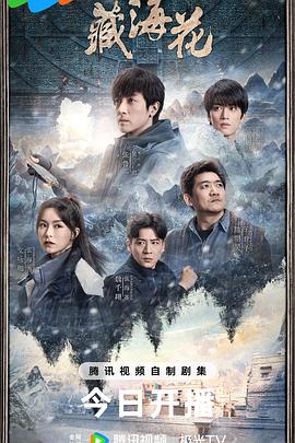 藏海花(2024)海报