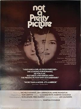 不是幅漂亮局面(1976)海报