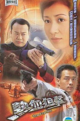 热血狙击(2003)海报