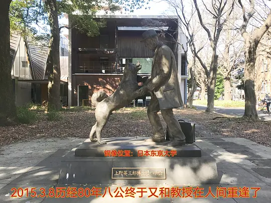 忠犬八公的故事剧照