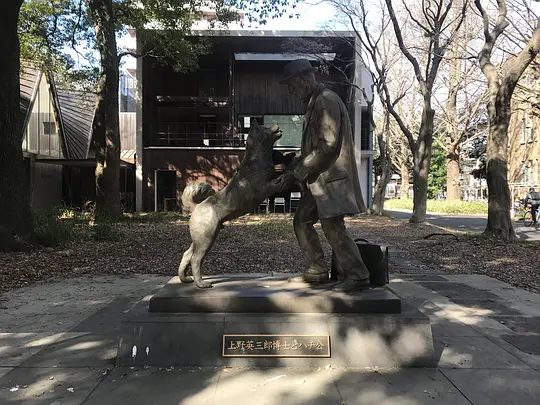 忠犬八公的故事剧照