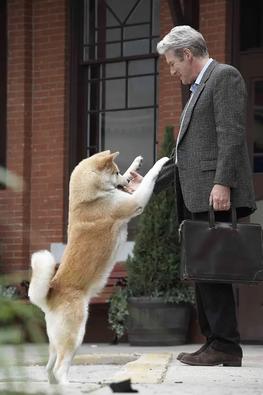 忠犬八公的故事剧照