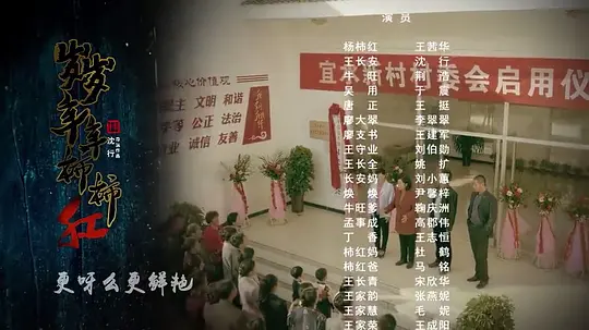 岁岁年年柿柿红剧照