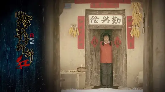 岁岁年年柿柿红剧照