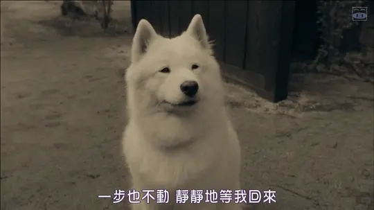 银魂2:世界奇妙银魂物语剧照