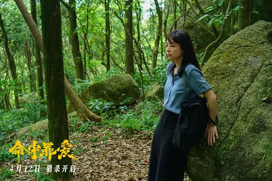 命中罪爱剧照