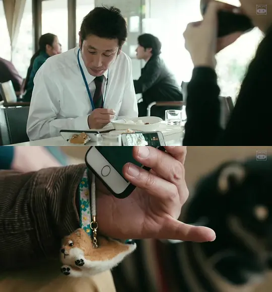 柴犬公园剧照
