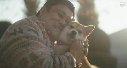 柴犬公园剧照