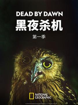 黑夜杀机 第一季(2019)海报