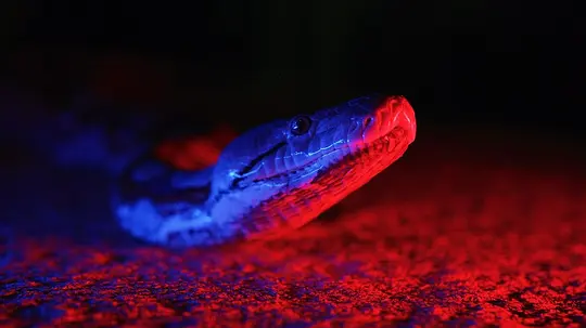黑夜杀机 第一季剧照