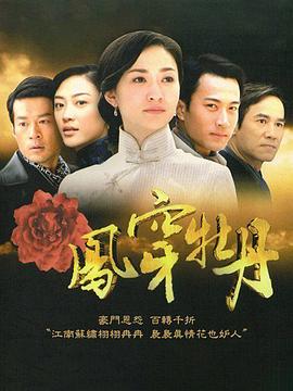 凤穿牡丹(2008)海报