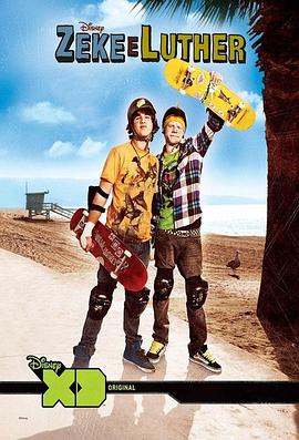 泽克和路德(2009)海报