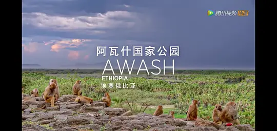 水深火热的星球剧照