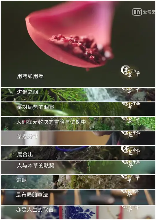 本草中华 第二季剧照