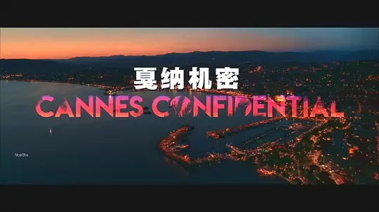 戛纳机密剧照