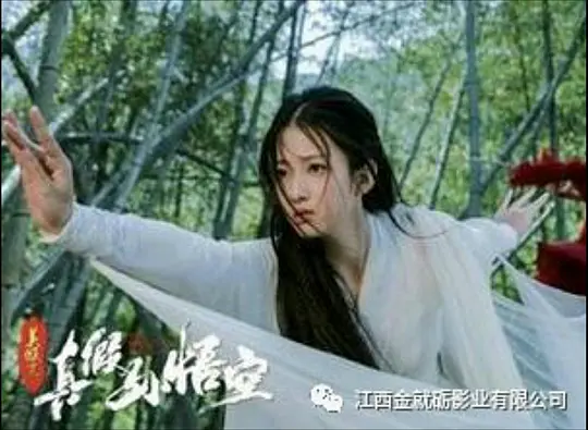 美猴王之真假孙悟空剧照