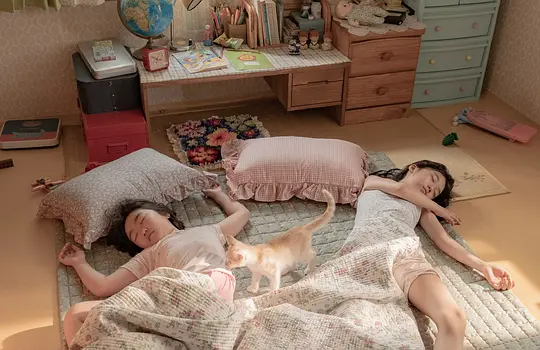 再见,我的灵魂伴侣剧照