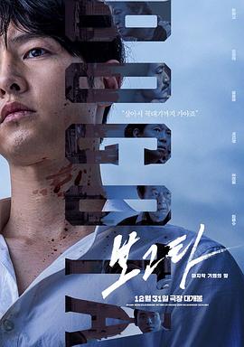 波哥大(2024)海报