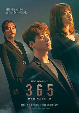 365:逆转命运的1年(2020)海报