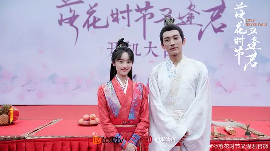 落花时节又逢君剧照