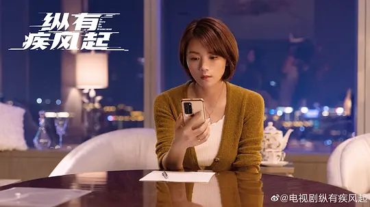 纵有疾风起剧照