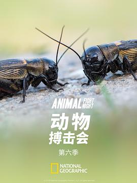 动物搏击会 第六季(2018)海报