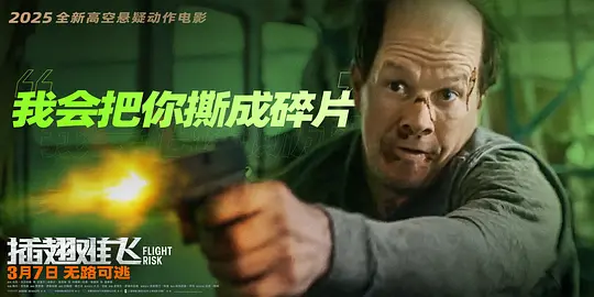 插翅难飞剧照