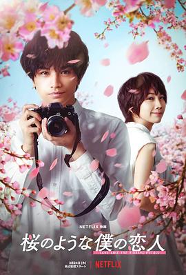 我的樱花恋人(2022)海报