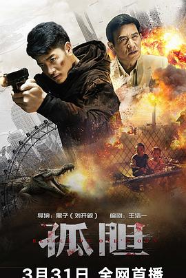 孤胆(2024)海报