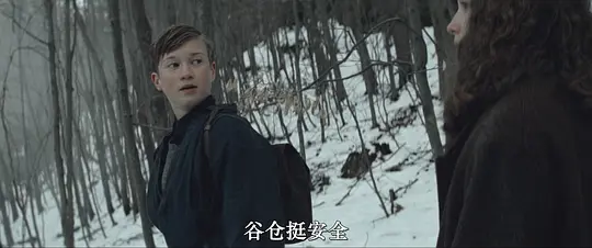 白鸟:奇迹剧照