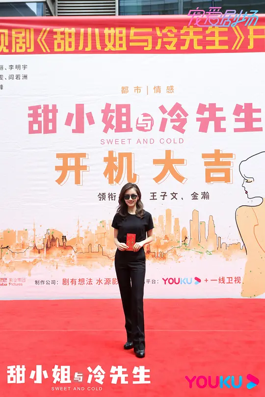 甜小姐与冷先生剧照
