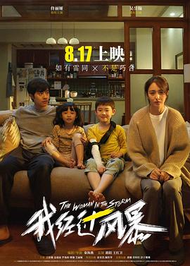 我经过风暴(2023)海报